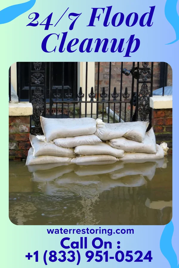 24/7 Flood Cleanup in Byromville, GA