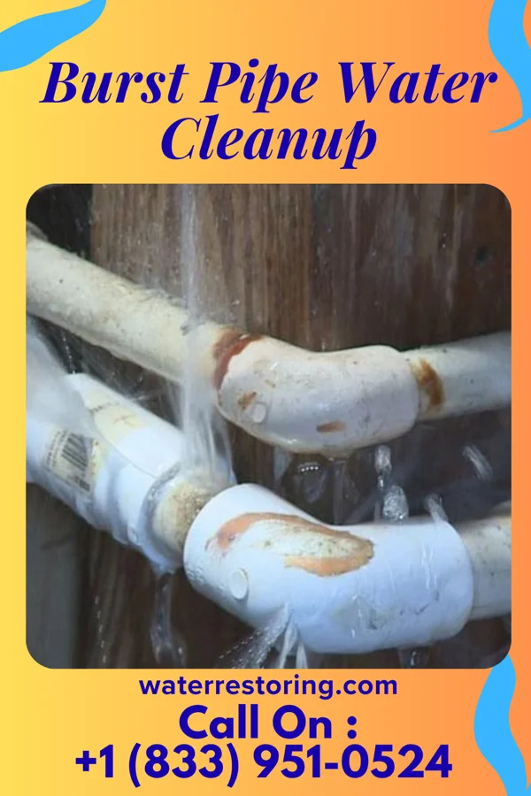 Burst Pipe Water Cleanup in Byromville, GA