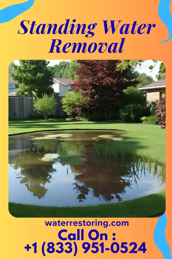 Standing Water Removal in Byromville, GA